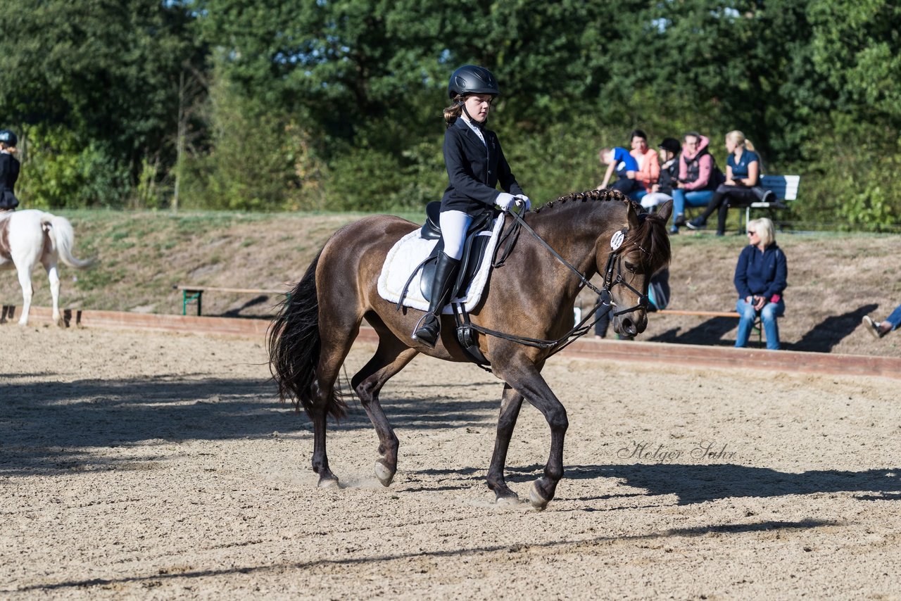 Bild 150 - Pony Akademie Turnier